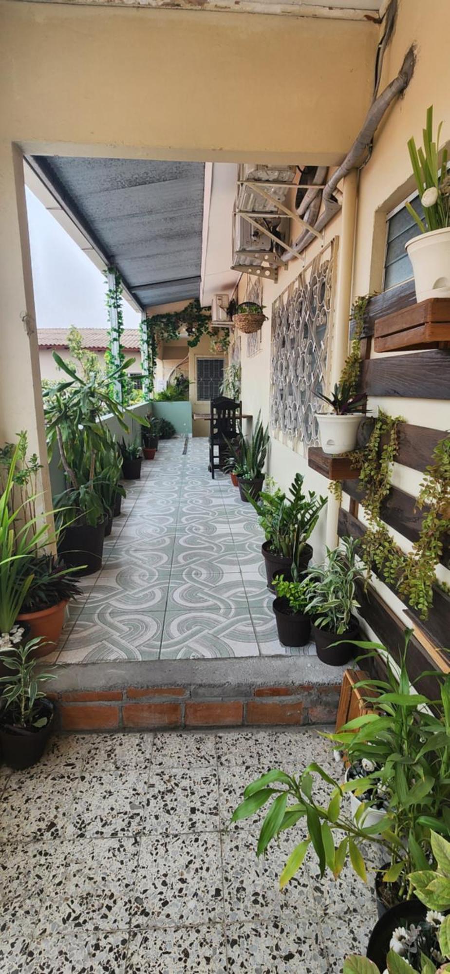 فندق Casa Altamira سان بيدرو سولا المظهر الخارجي الصورة